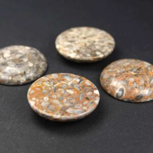 Oceanic fossils cabochon 30 mm, 1 piece