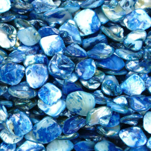 Pépites de nacre bleue env.18 x 18 mm, 1 fil