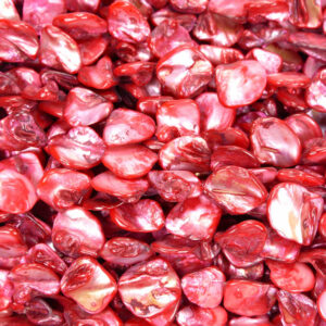 Pépites de nacre rouge env.18 x 18 mm, 1 fil